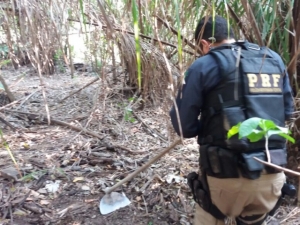 Apreensão de cocaína em táxi leva PRF para uma fazenda com mais de 21kg da droga e mais duas armas